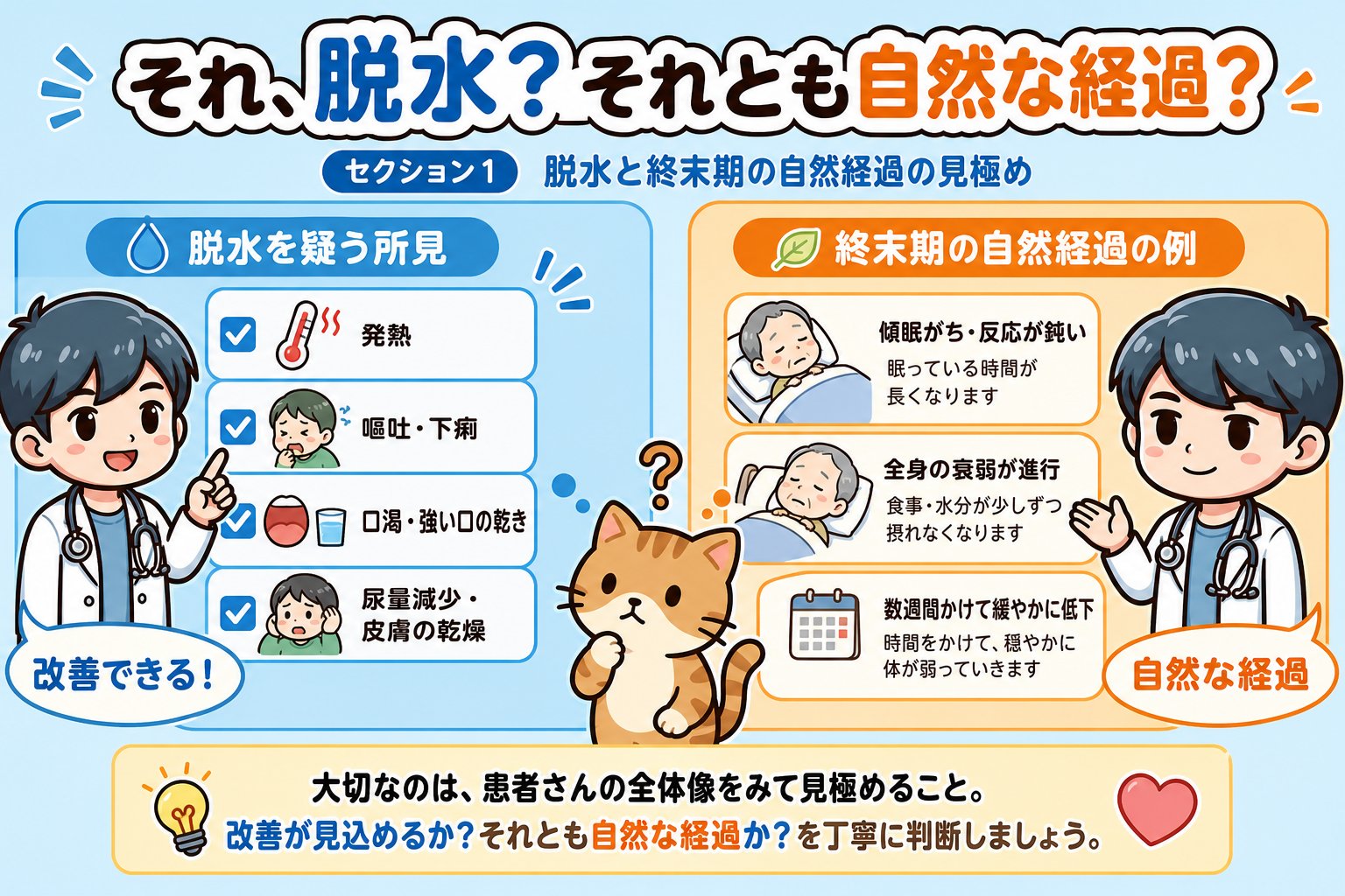 セクション1イメージ