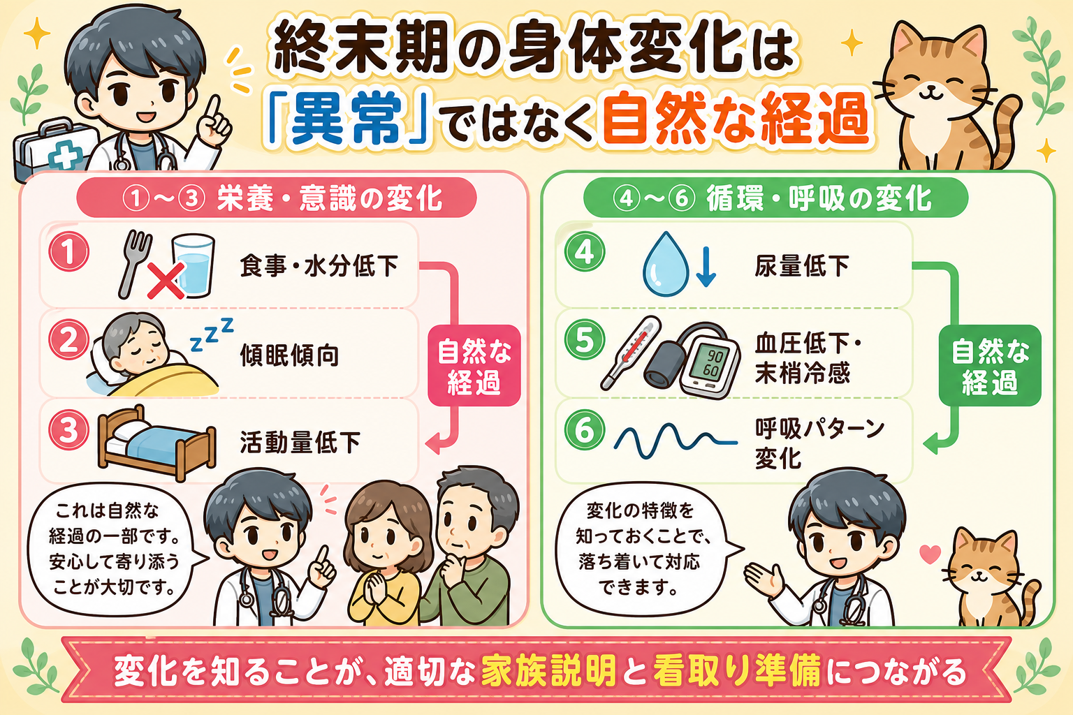 セクション1イメージ