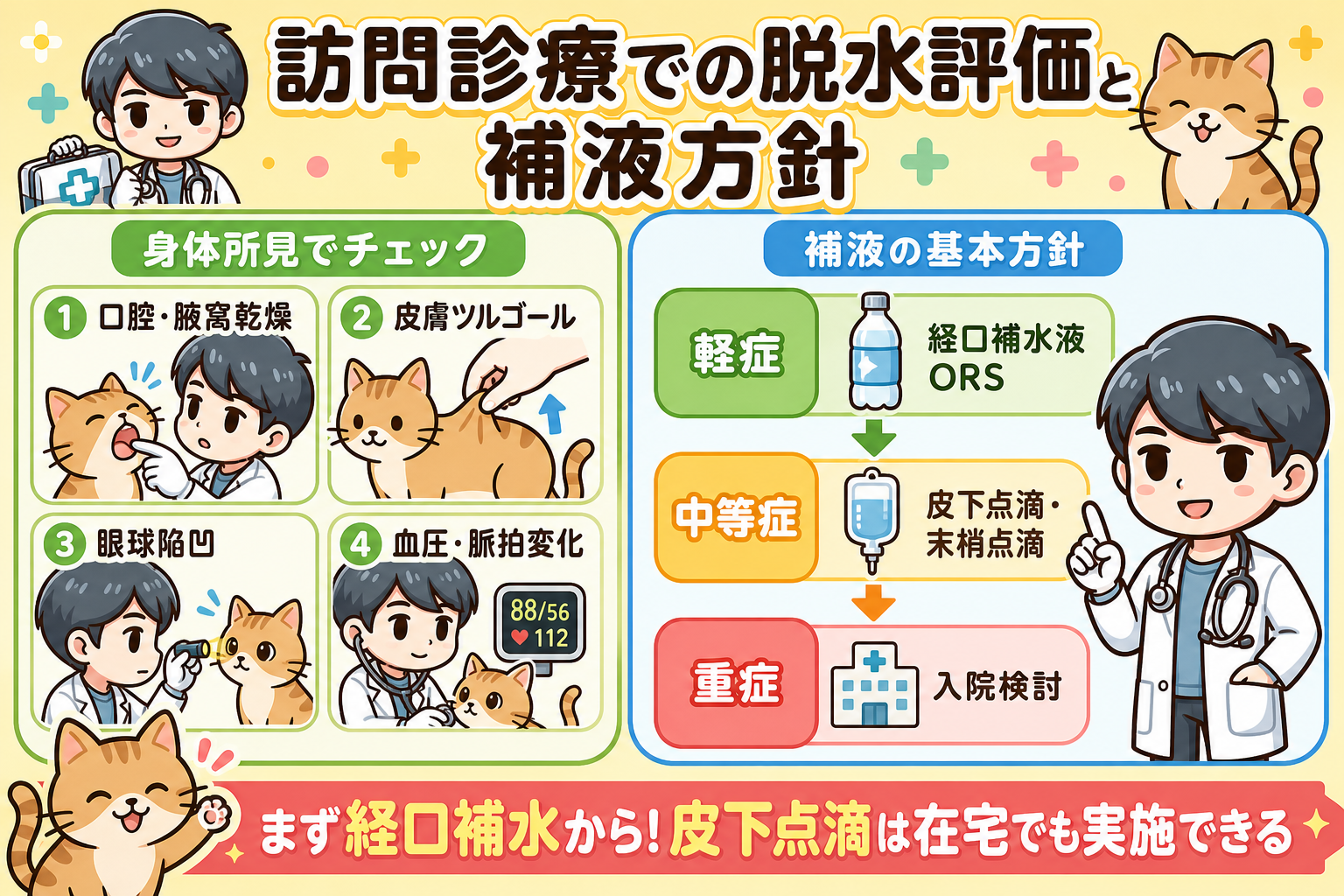 セクション2イメージ