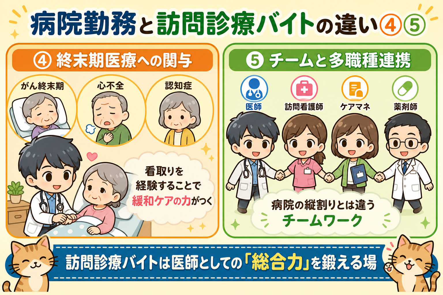 セクション2イメージ